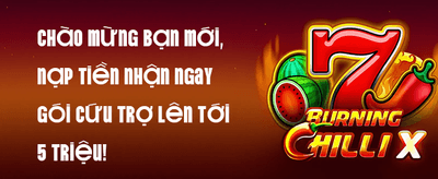 Hoàn Trả VIP Không Giới Hạn promotional banner